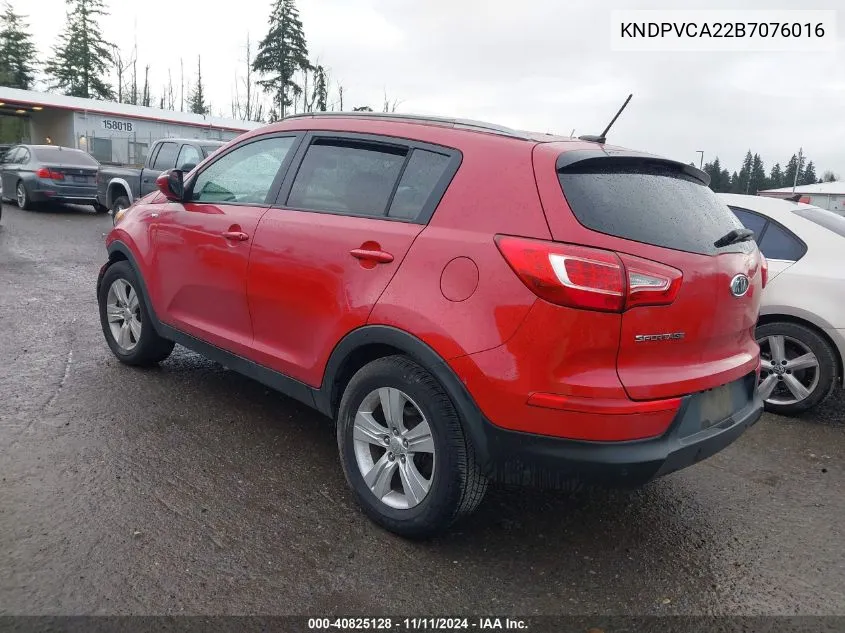 2011 Kia Sportage VIN: KNDPVCA22B7076016 Lot: 40825128