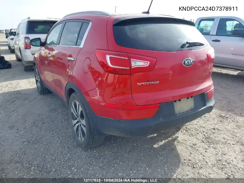 2013 Kia Sportage VIN: KNDPCCA24D7378911 Lot: 12117533