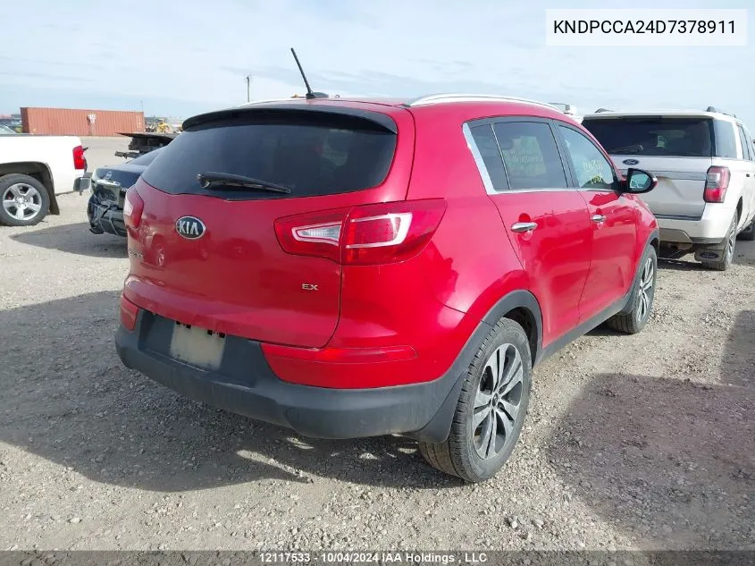 2013 Kia Sportage VIN: KNDPCCA24D7378911 Lot: 12117533