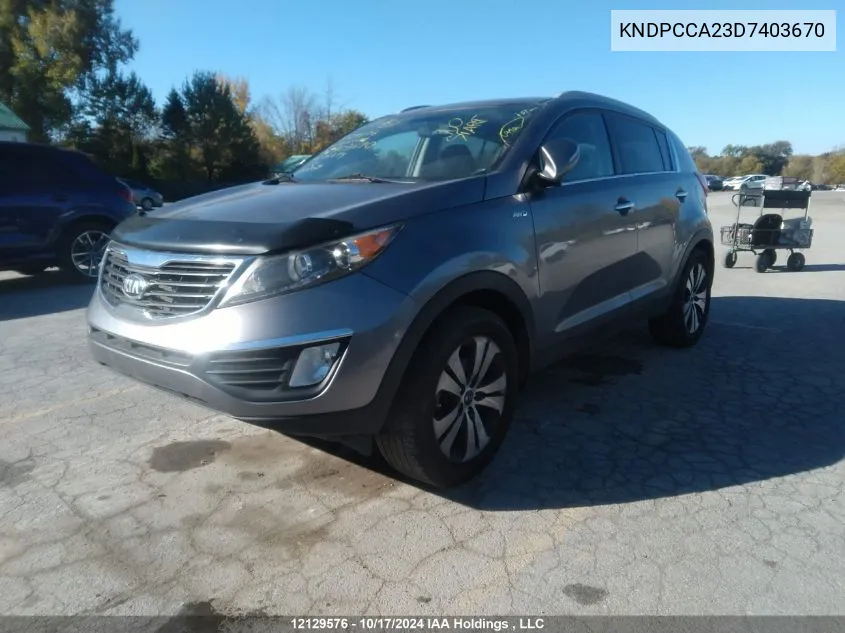 2013 Kia Sportage VIN: KNDPCCA23D7403670 Lot: 12129576