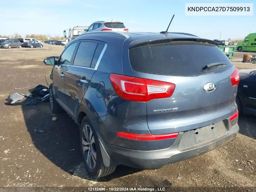 2013 Kia Sportage VIN: KNDPCCA27D7509913 Lot: 12132490