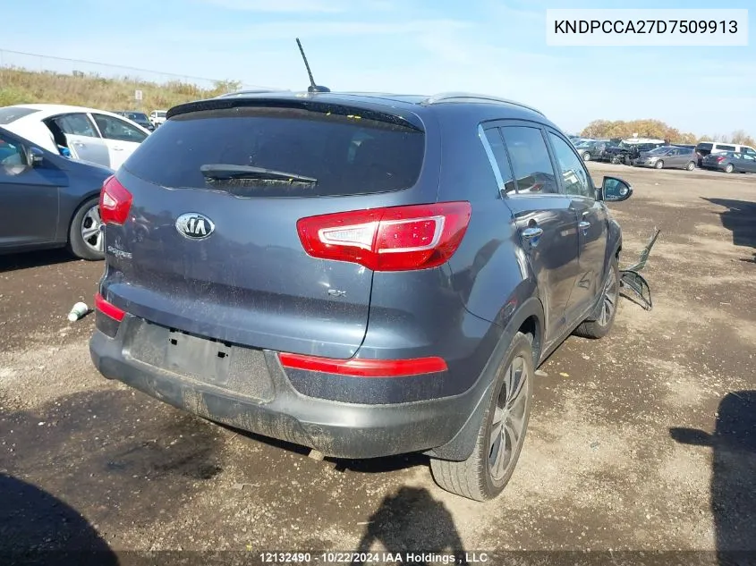 2013 Kia Sportage VIN: KNDPCCA27D7509913 Lot: 12132490