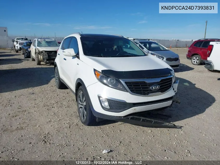 2013 Kia Sportage VIN: KNDPCCA24D7393831 Lot: 12133313