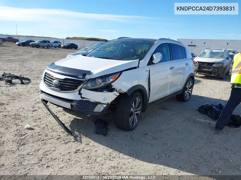 2013 Kia Sportage VIN: KNDPCCA24D7393831 Lot: 12133313