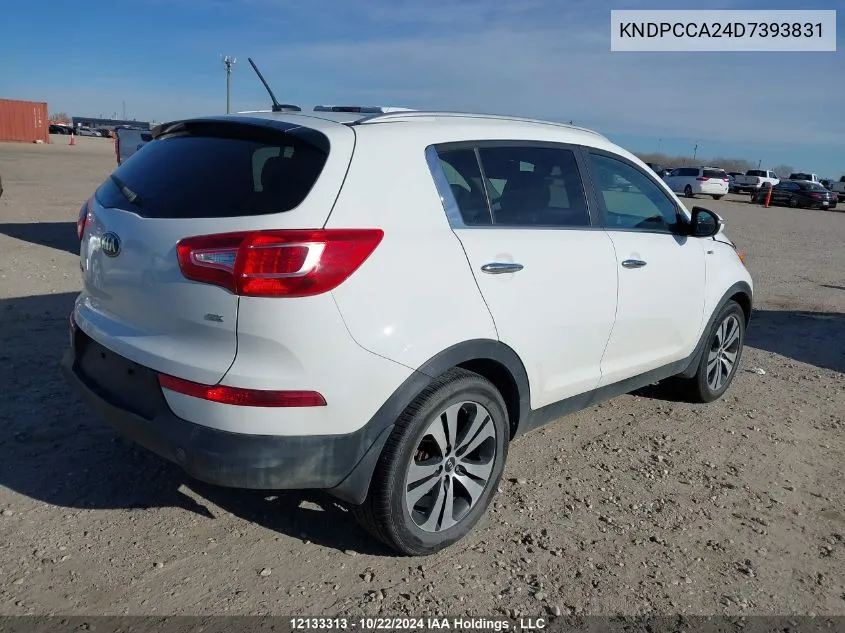 2013 Kia Sportage VIN: KNDPCCA24D7393831 Lot: 12133313