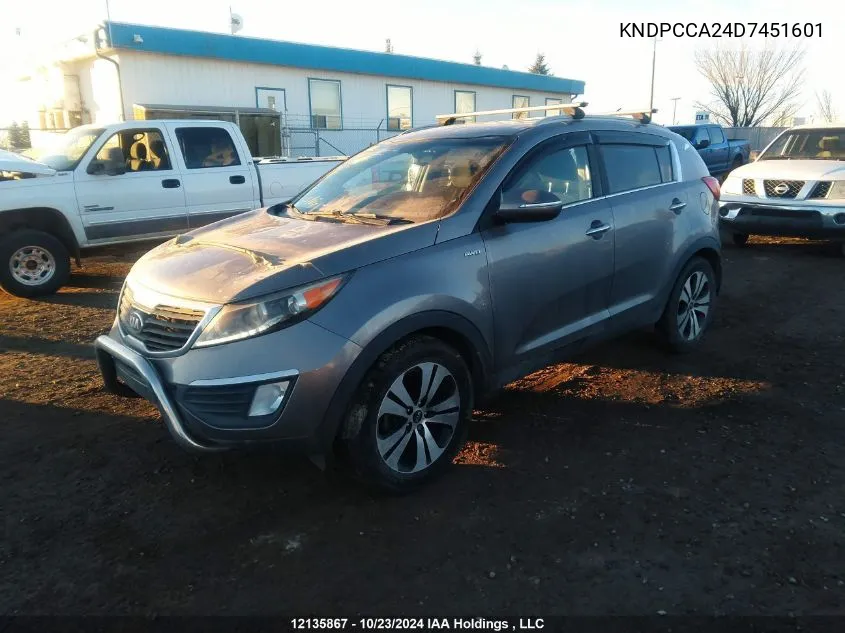 2013 Kia Sportage VIN: KNDPCCA24D7451601 Lot: 12135867