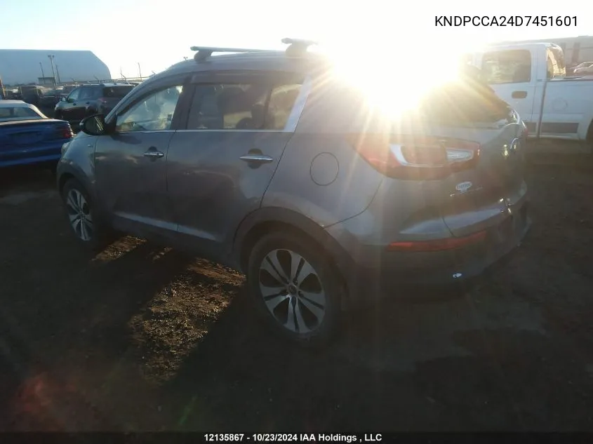 2013 Kia Sportage VIN: KNDPCCA24D7451601 Lot: 12135867