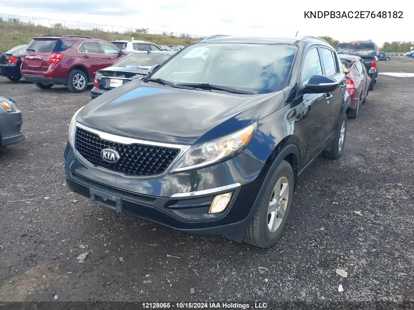 2014 Kia Sportage VIN: KNDPB3AC2E7648182 Lot: 12128065