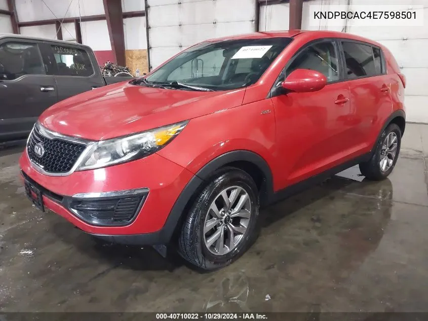 2014 Kia Sportage Lx VIN: KNDPBCAC4E7598501 Lot: 40710022