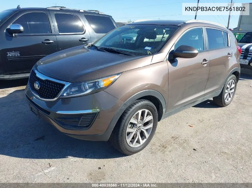 2014 Kia Sportage Lx VIN: KNDPB3AC9E7561802 Lot: 40838568