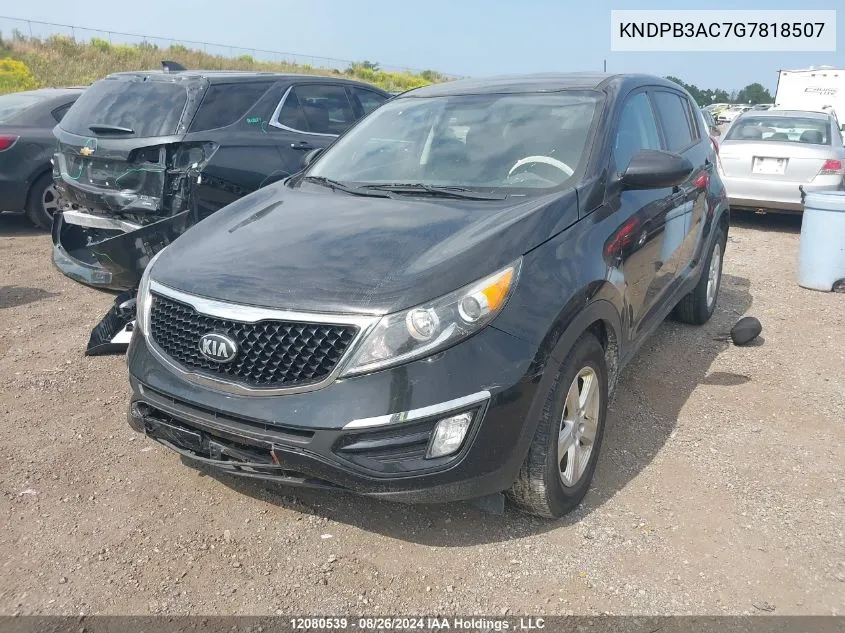 2016 Kia Sportage Lx VIN: KNDPB3AC7G7818507 Lot: 12080539