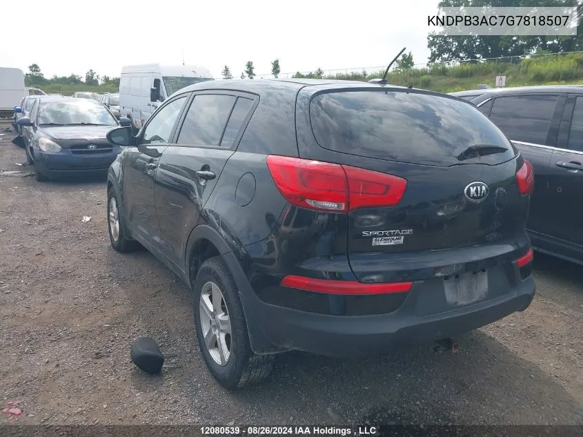 2016 Kia Sportage Lx VIN: KNDPB3AC7G7818507 Lot: 12080539