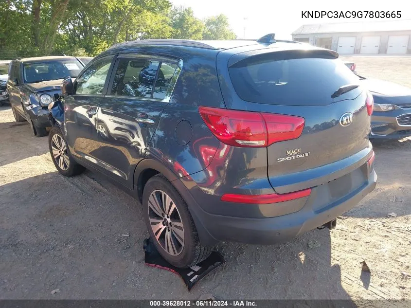 2016 Kia Sportage Ex VIN: KNDPC3AC9G7803665 Lot: 39628012