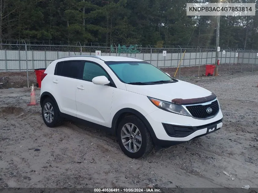 2016 Kia Sportage Lx VIN: KNDPB3AC4G7853814 Lot: 40536491