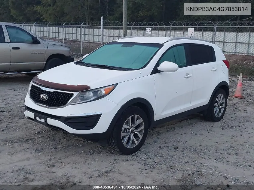 KNDPB3AC4G7853814 2016 Kia Sportage Lx