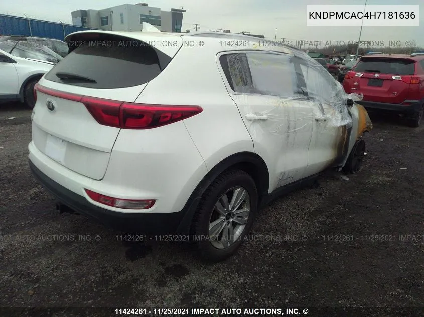 2017 Kia Sportage Lx VIN: KNDPMCAC4H7181636 Lot: 11424261