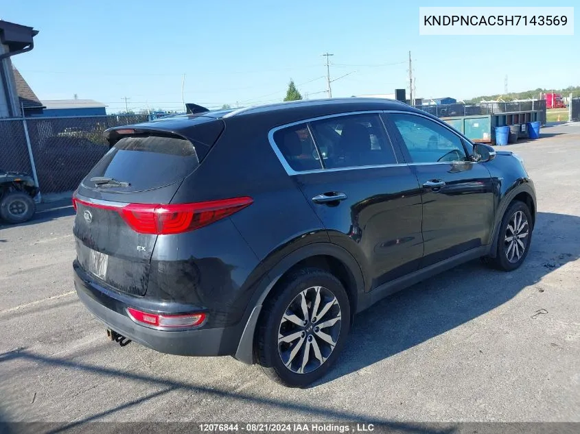 2017 Kia Sportage VIN: KNDPNCAC5H7143569 Lot: 12076844