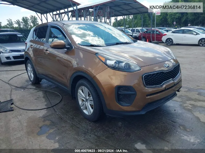 2017 Kia Sportage Lx VIN: KNDPM3AC4H7236814 Lot: 40070623