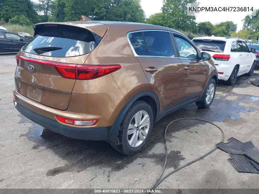 2017 Kia Sportage Lx VIN: KNDPM3AC4H7236814 Lot: 40070623