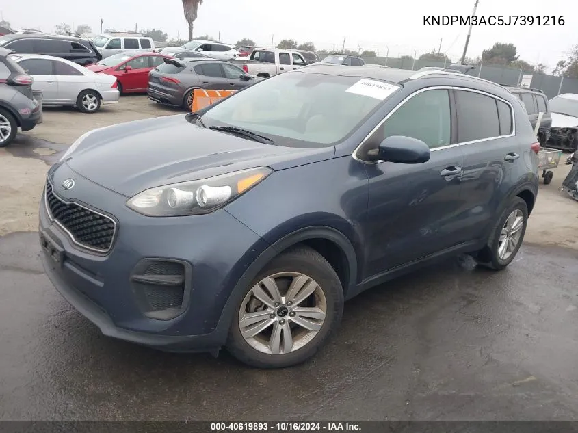 2018 Kia Sportage Lx VIN: KNDPM3AC5J7391216 Lot: 40619893