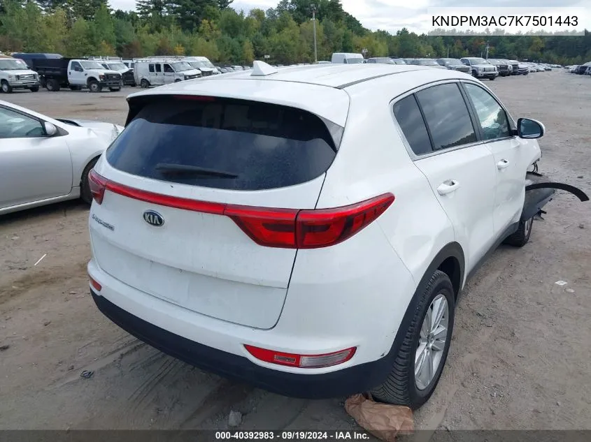 2019 Kia Sportage Lx VIN: KNDPM3AC7K7501443 Lot: 40392983