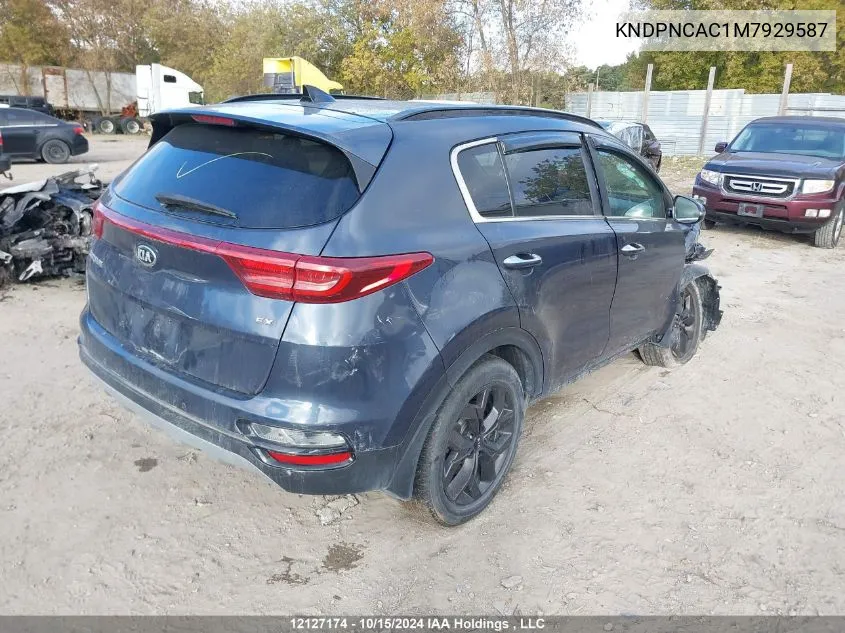 2021 Kia Sportage VIN: KNDPNCAC1M7929587 Lot: 12127174