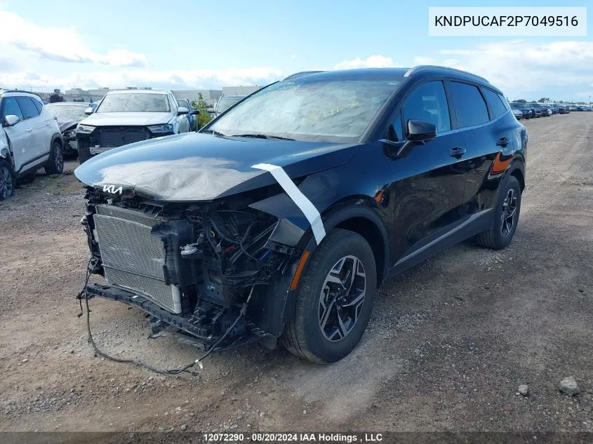 2023 Kia Sportage VIN: KNDPUCAF2P7049516 Lot: 12072290