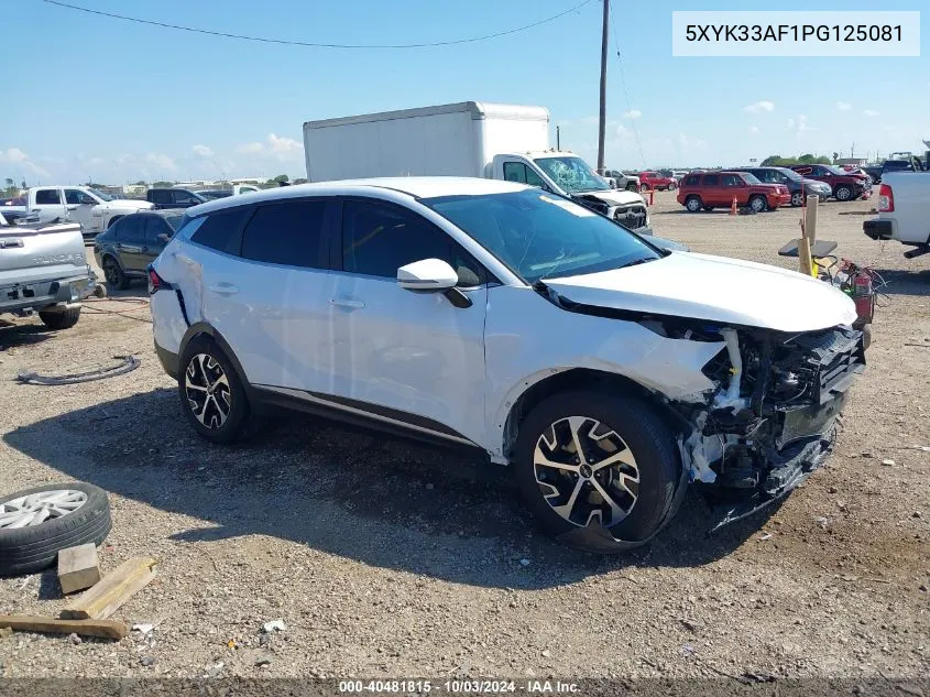 2023 Kia Sportage Ex VIN: 5XYK33AF1PG125081 Lot: 40481815