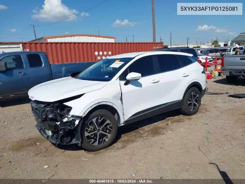 2023 Kia Sportage Ex VIN: 5XYK33AF1PG125081 Lot: 40481815