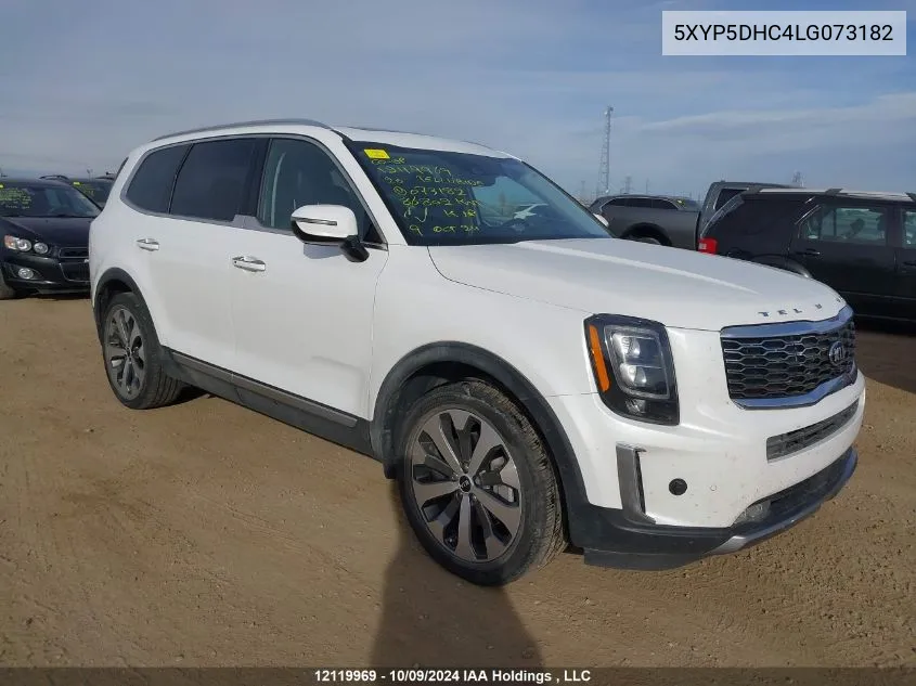 2020 Kia Telluride VIN: 5XYP5DHC4LG073182 Lot: 12119969