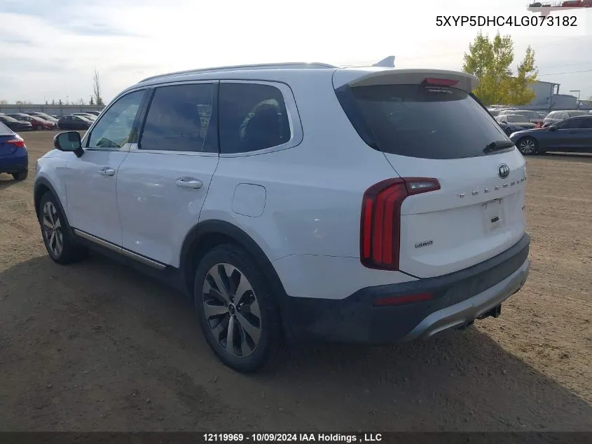 2020 Kia Telluride VIN: 5XYP5DHC4LG073182 Lot: 12119969