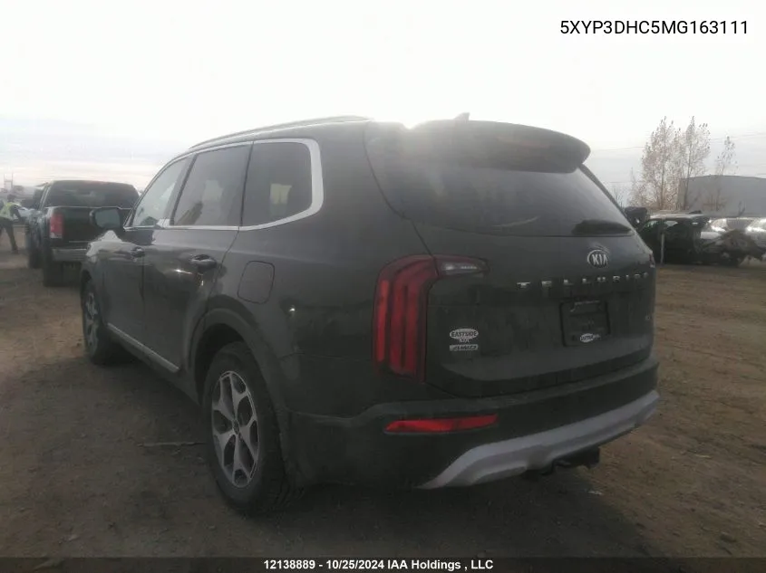 2021 Kia Telluride VIN: 5XYP3DHC5MG163111 Lot: 12138889