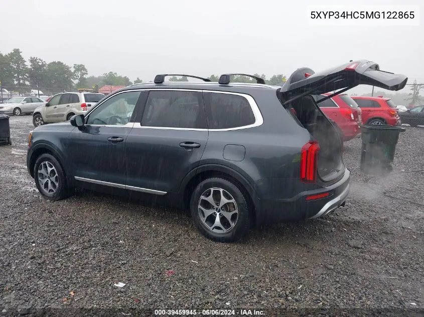 2021 Kia Telluride Ex VIN: 5XYP34HC5MG122865 Lot: 39459945