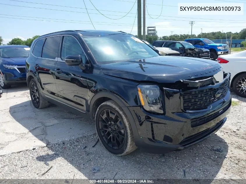 2021 Kia Telluride Ex VIN: 5XYP3DHC8MG100973 Lot: 40186248