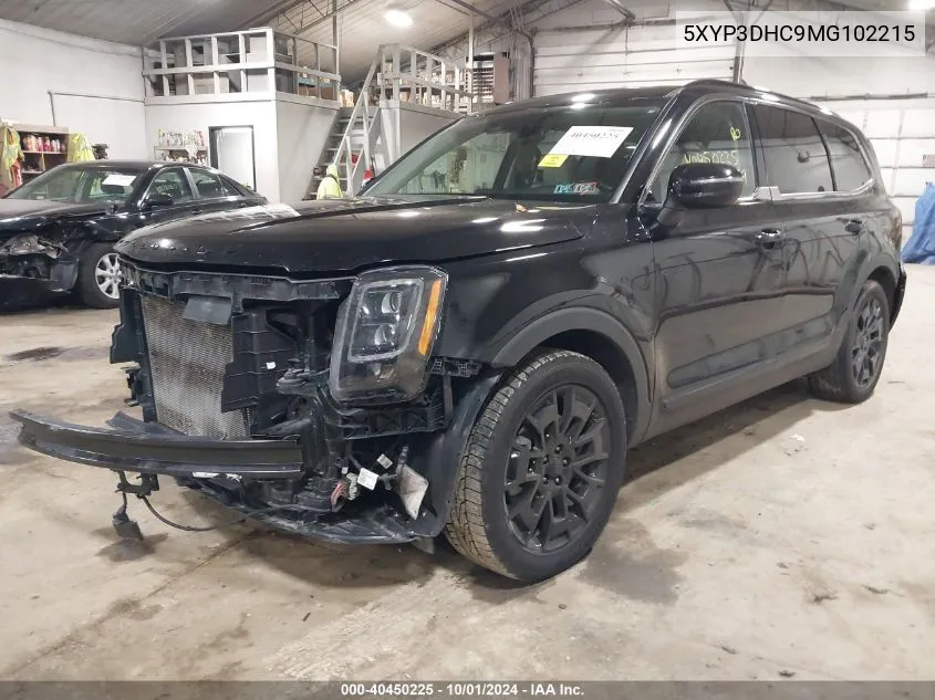 2021 Kia Telluride Ex VIN: 5XYP3DHC9MG102215 Lot: 40450225