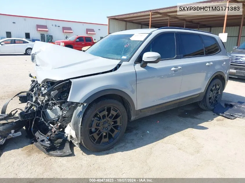 2021 Kia Telluride Ex VIN: 5XYP3DHC1MG171383 Lot: 40473823