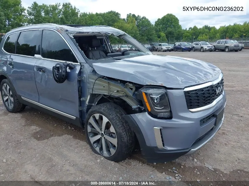 2022 Kia Telluride S VIN: 5XYP6DHC0NG236202 Lot: 39880614