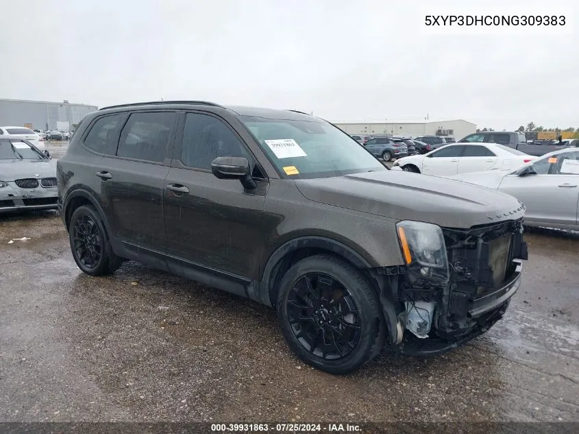 2022 Kia Telluride Ex VIN: 5XYP3DHC0NG309383 Lot: 39931863