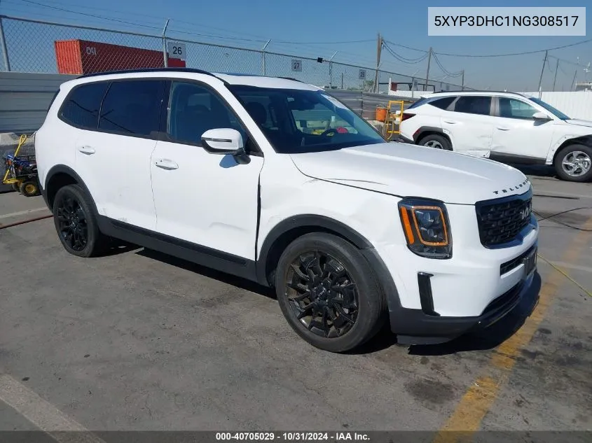 2022 Kia Telluride Ex VIN: 5XYP3DHC1NG308517 Lot: 40705029