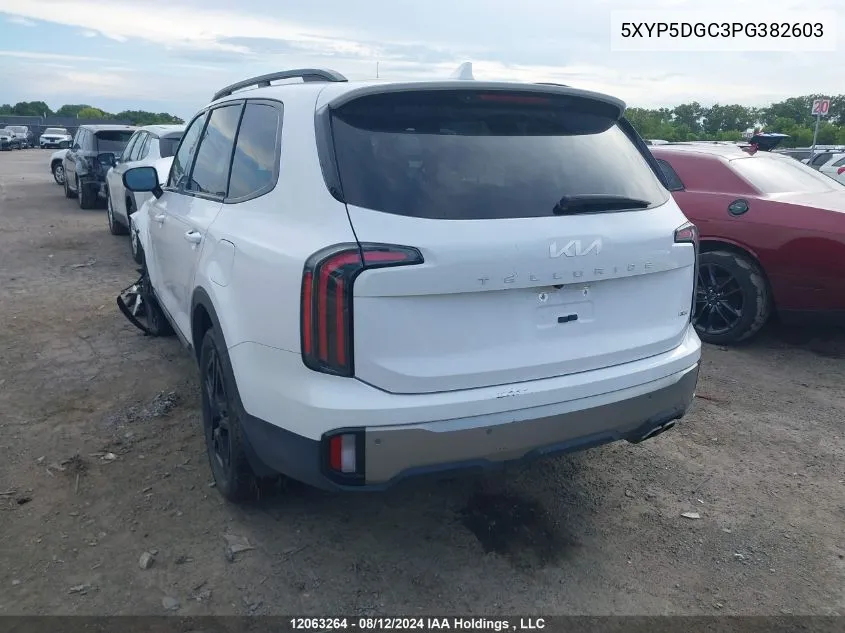 2023 Kia Telluride VIN: 5XYP5DGC3PG382603 Lot: 12063264