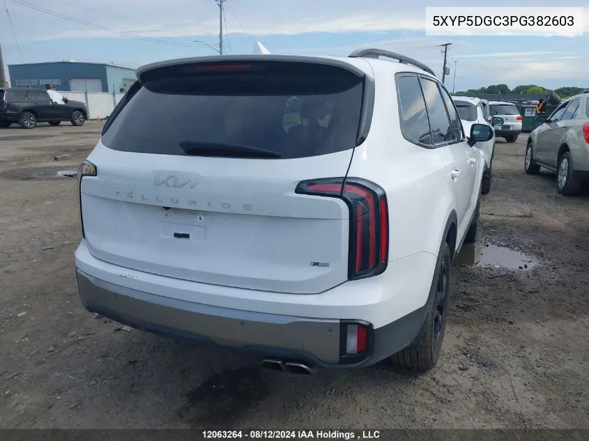 2023 Kia Telluride VIN: 5XYP5DGC3PG382603 Lot: 12063264