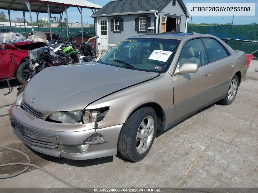 2000 Lexus Es 300 VIN: JT8BF28G6Y0255508 Lot: 39224066