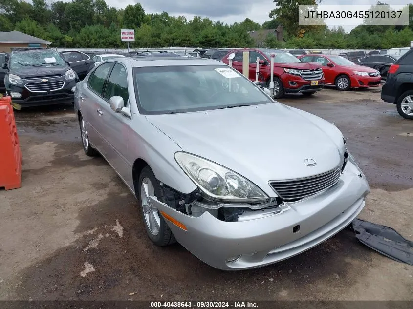 2005 Lexus Es 330 VIN: JTHBA30G455120137 Lot: 40438643