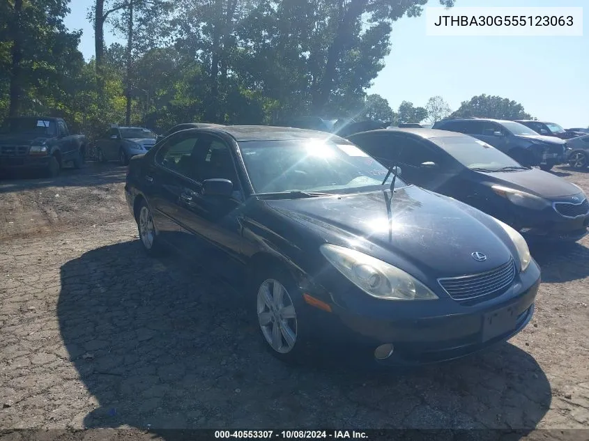 2005 Lexus Es 330 330 VIN: JTHBA30G555123063 Lot: 40553307