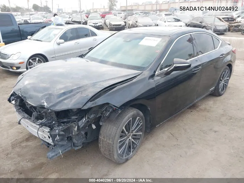 2022 Lexus Es 300H VIN: 58ADA1C14NU024492 Lot: 40402961