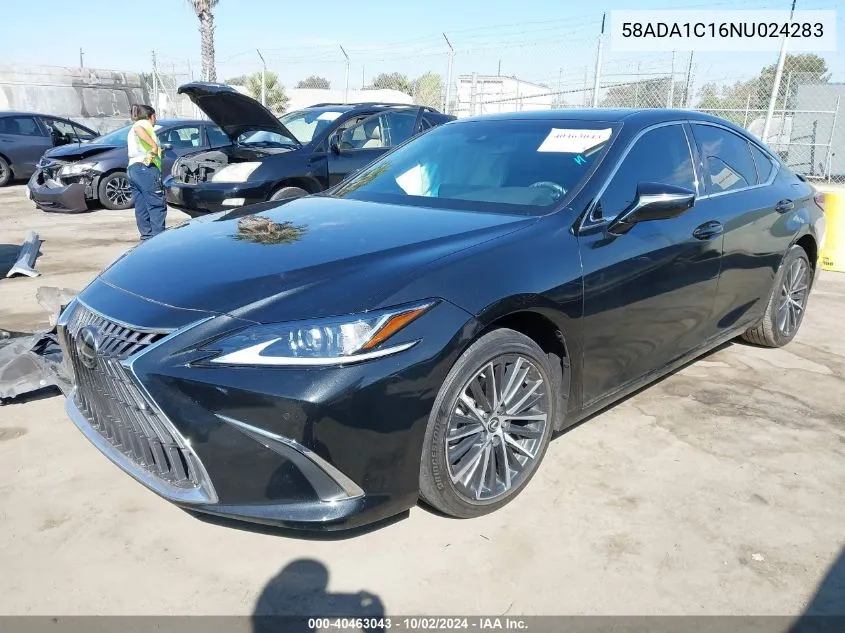 2022 Lexus Es 300H VIN: 58ADA1C16NU024283 Lot: 40463043