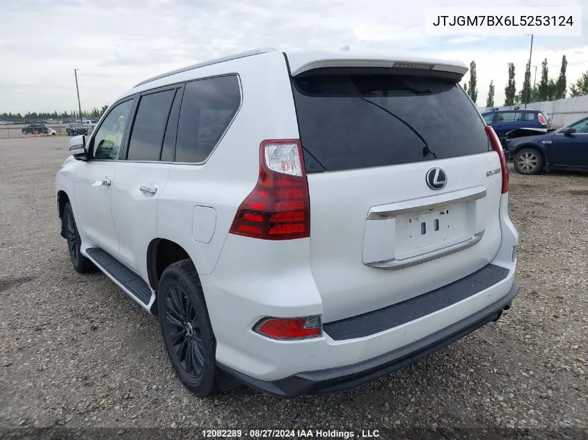 2020 Lexus Gx 460 VIN: JTJGM7BX6L5253124 Lot: 12082289