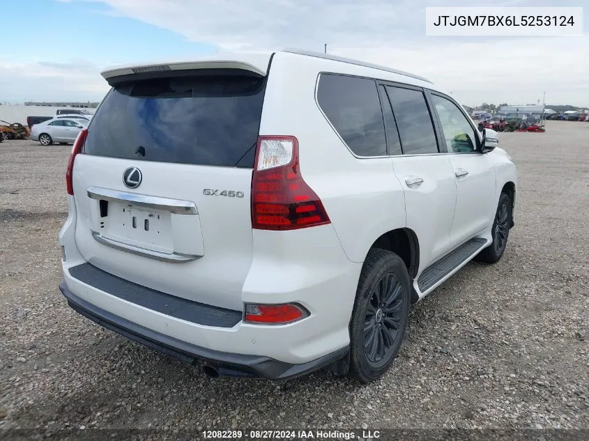 2020 Lexus Gx 460 VIN: JTJGM7BX6L5253124 Lot: 12082289