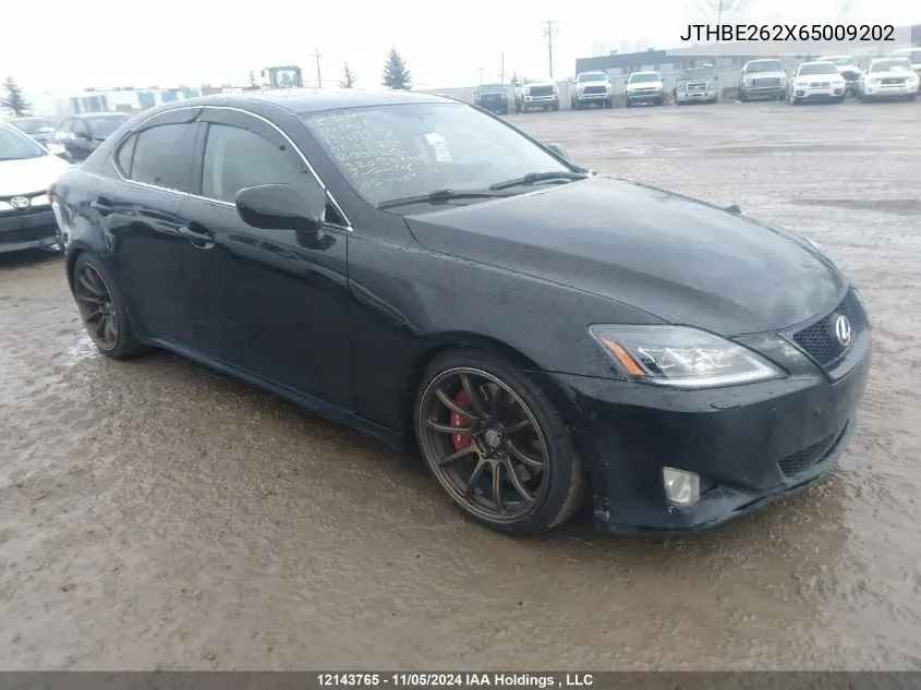 2006 Lexus Is 350 VIN: JTHBE262X65009202 Lot: 12143765