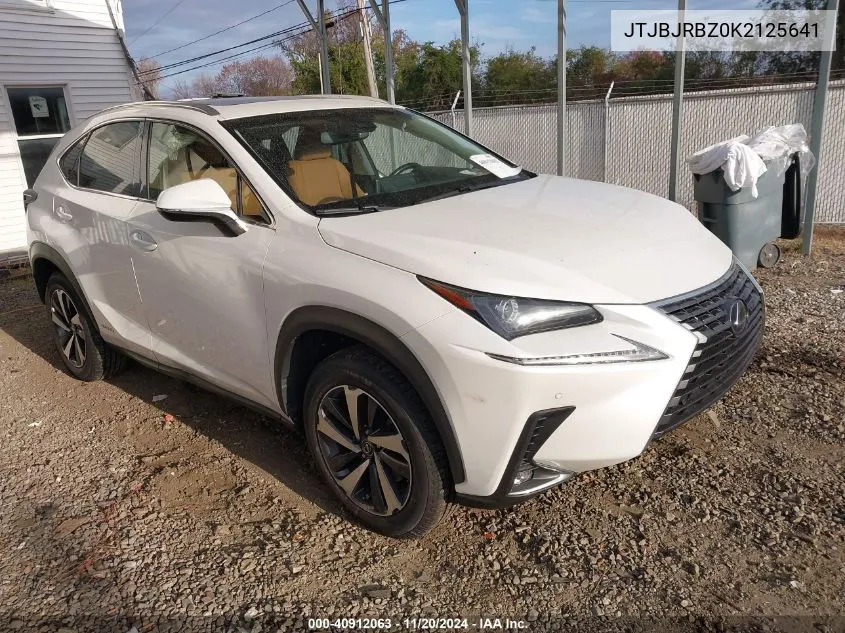 2019 Lexus Nx 300H VIN: JTJBJRBZ0K2125641 Lot: 40912063